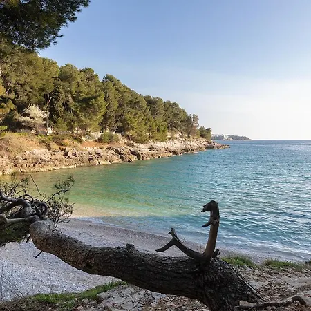 Apartamento Seasoul